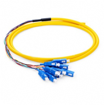 12芯分支光纤- SC 单模 光纤尾纤