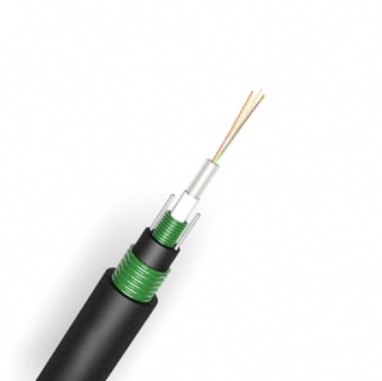 Double Sheath And Double Armored Central Loose Tube Cable( GYXTW53 )